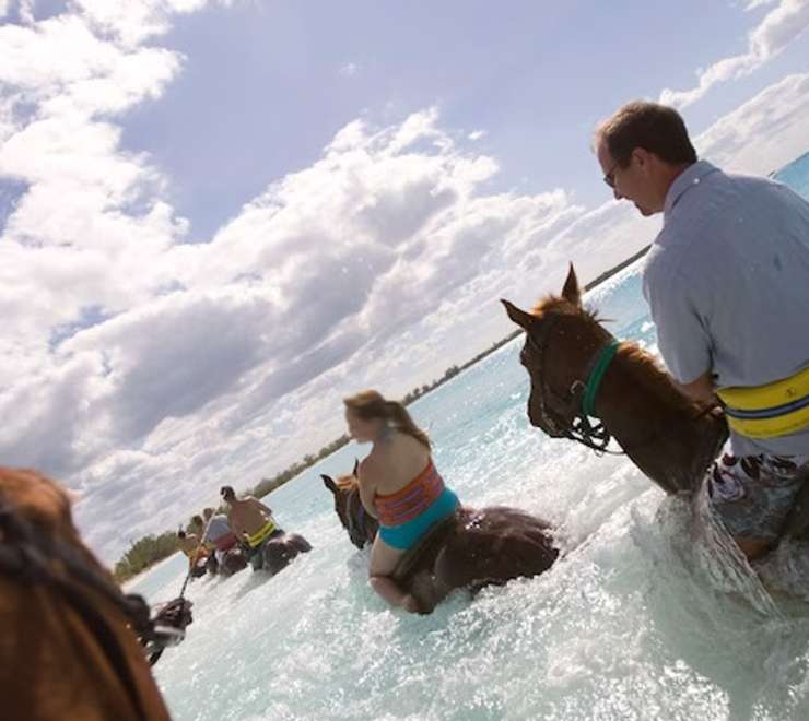Horseback Riding by Land & Sea