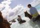 Horseback Riding by Land & Sea