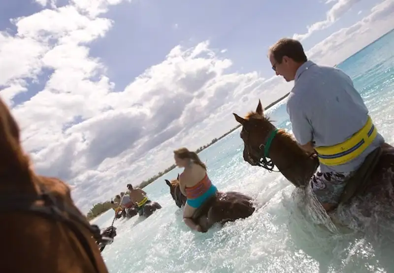 Horseback Riding by Land & Sea