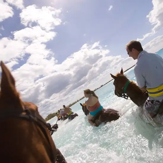 Image related to Image related to Horseback Riding by Land & Sea