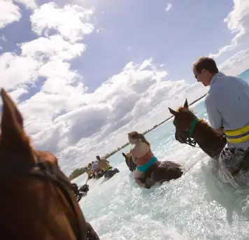 Image related to Horseback Riding by Land & Sea