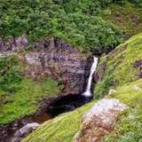 Image related to Corrieshalloch Gorge National Nature Reserve