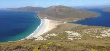 Saunders Island, Falkland Islands