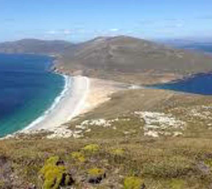Saunders Island, Falkland Islands