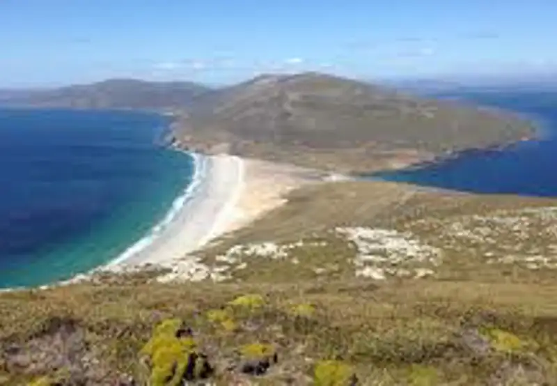 Saunders Island, Falkland Islands