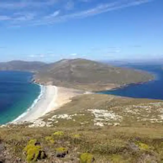 Image related to Saunders Island, Falkland Islands