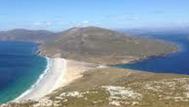 Saunders Island, Falkland Islands