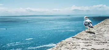 Tagus Cove, Isabela Island