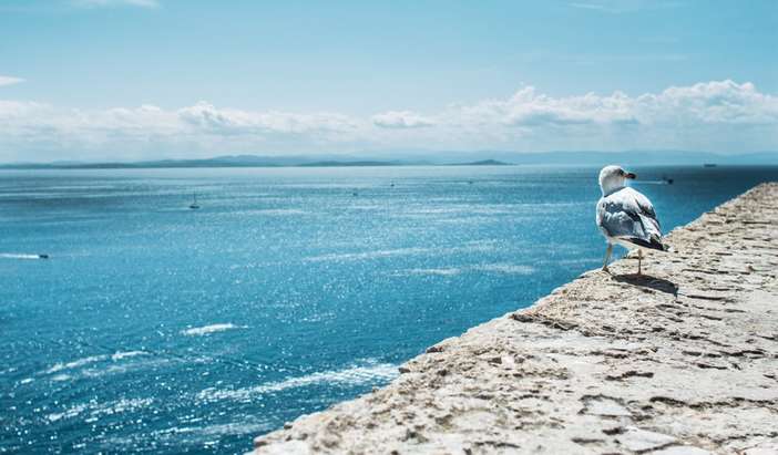 Tagus Cove, Isabela Island