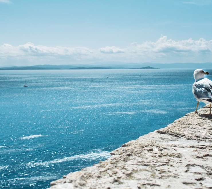 Tagus Cove, Isabela Island