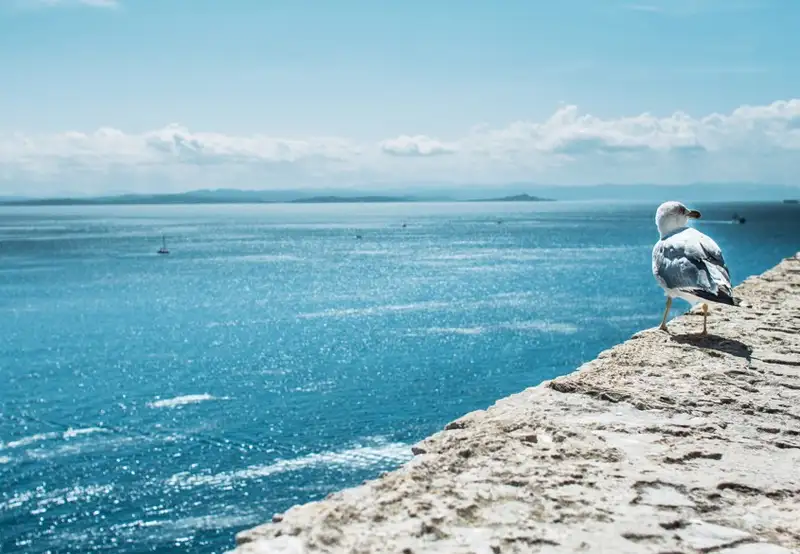 Tagus Cove, Isabela Island