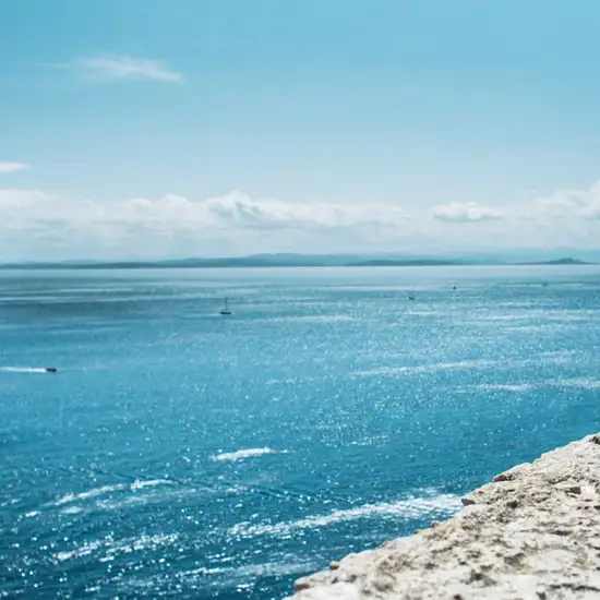 Image related to Tagus Cove, Isabela Island