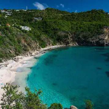 Image related to Shell Beach