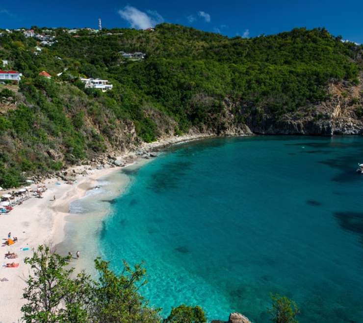 Shell Beach