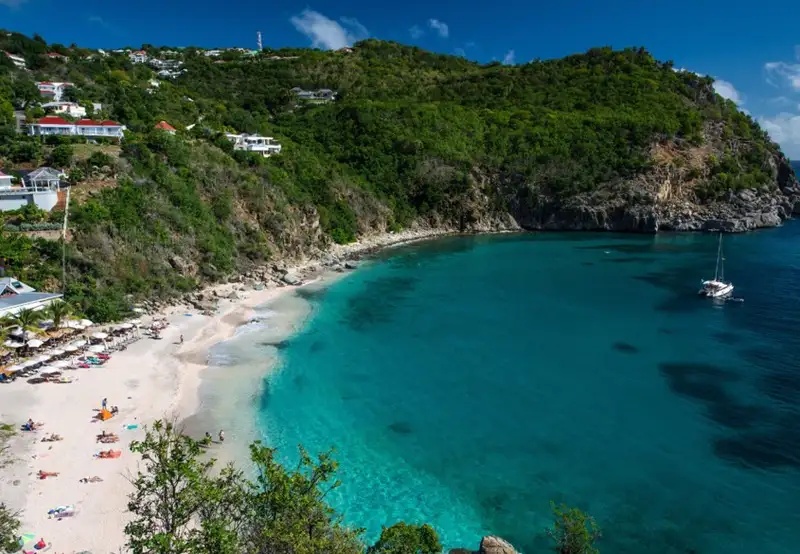 Shell Beach