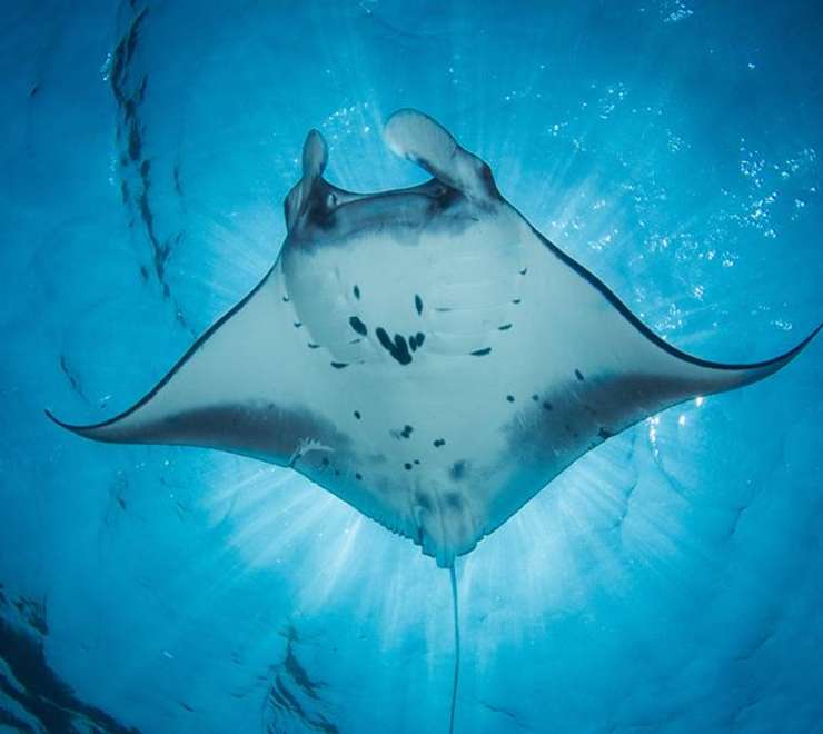 Zakinthos Marine Park