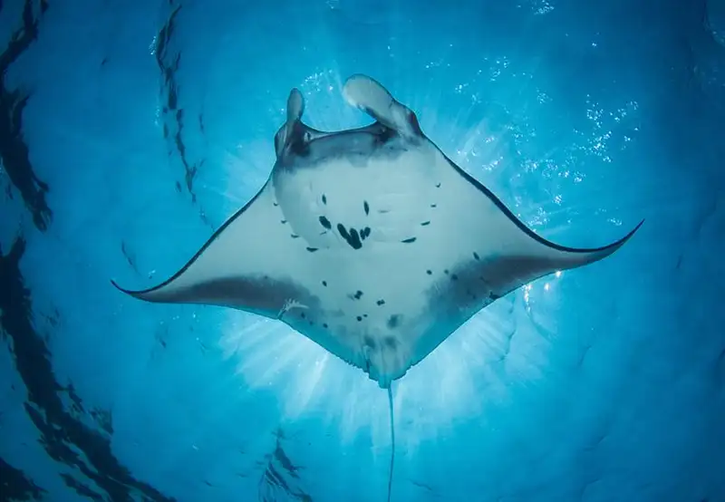 Zakinthos Marine Park
