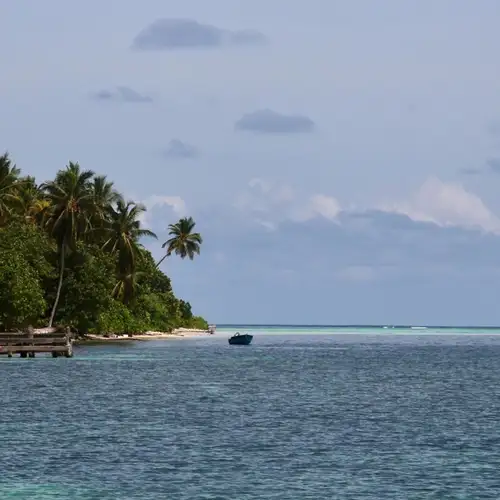 Image related to Walk Around the Island