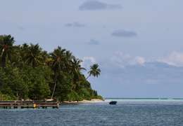 IgluCruise.Application.ViewModels.Shared.WebImageViewModel?.Description