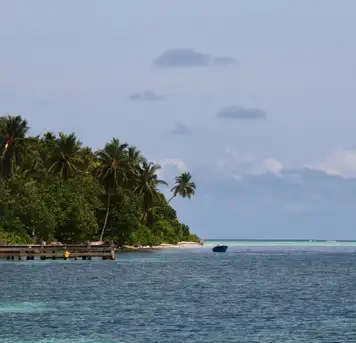 Image related to Walk Around the Island