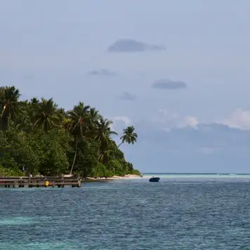 Image related to Walk Around the Island