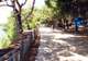 Stroll the Pine-Scented Promenade