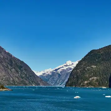 Image related to Inside Passage (Scenic Cruising)