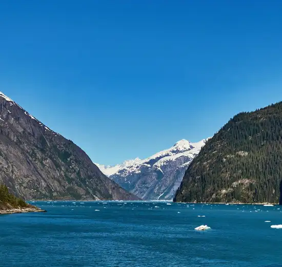 Image related to Inside Passage (Scenic Cruising)