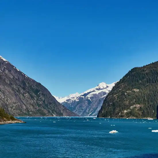 Image related to Inside Passage (Scenic Cruising)