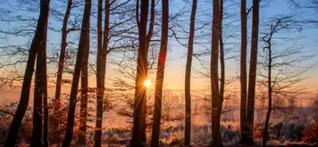 Image related to Invergordon Castle Grounds