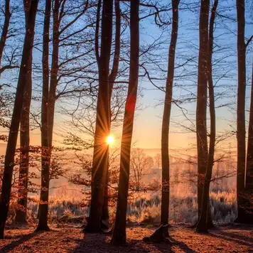 Image related to Invergordon Castle Grounds