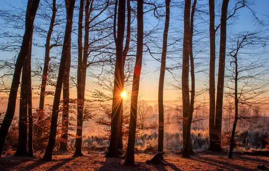 Image related to Invergordon Castle Grounds