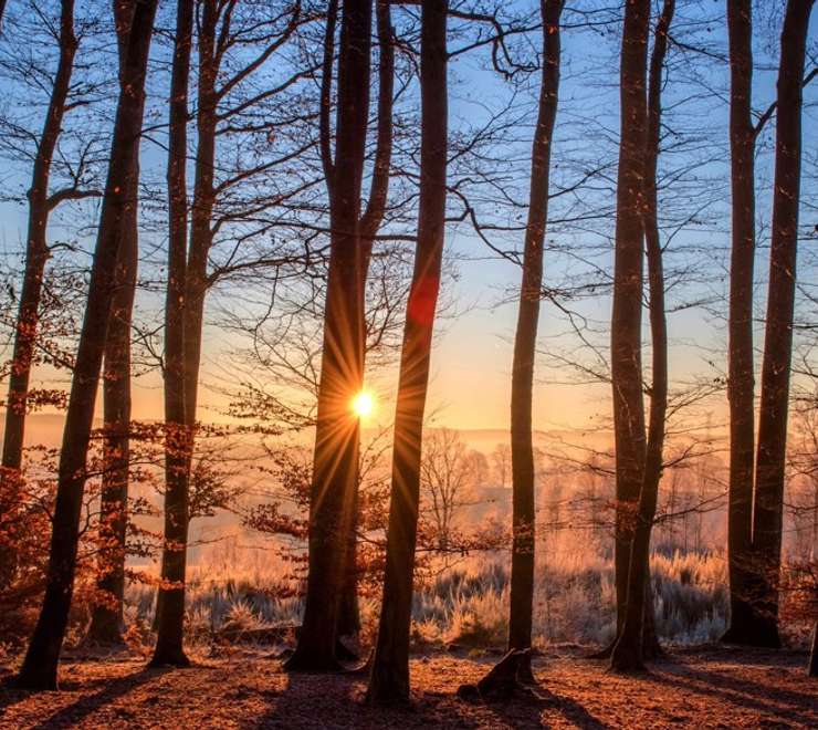 Invergordon Castle Grounds