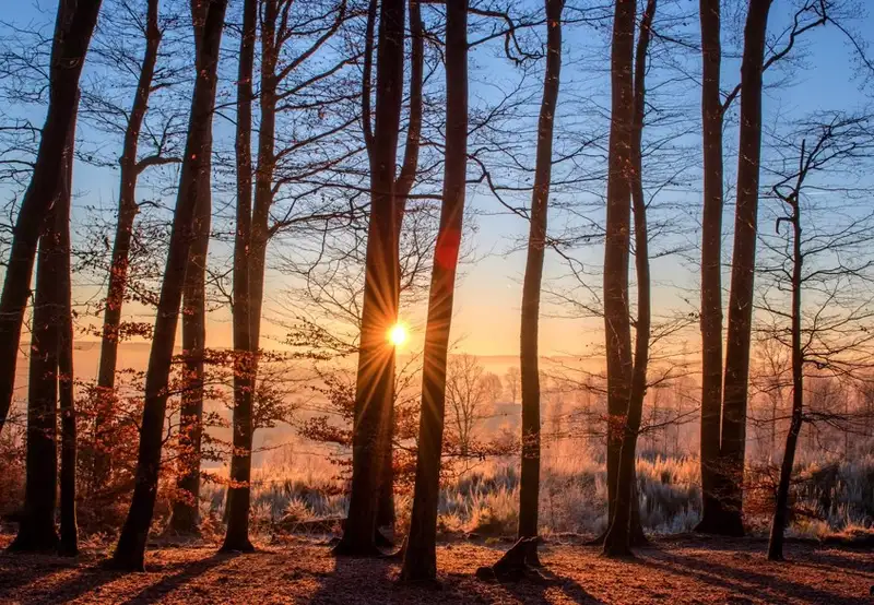 Image related to Invergordon Castle Grounds