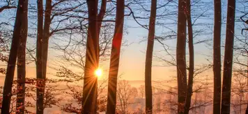 Image related to Image related to Invergordon Castle Grounds