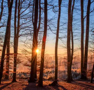 Image related to Invergordon Castle Grounds