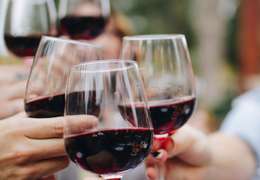 IgluCruise.Application.ViewModels.Shared.WebImageViewModel?.Description