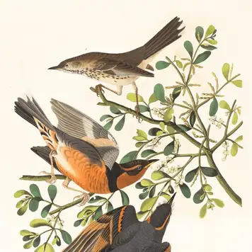 Image related to McLean Museum