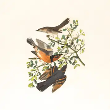 Image related to McLean Museum