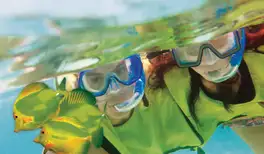 Image related to Underwater Snorkel Garden