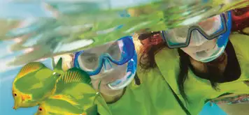 Image related to Underwater Snorkel Garden