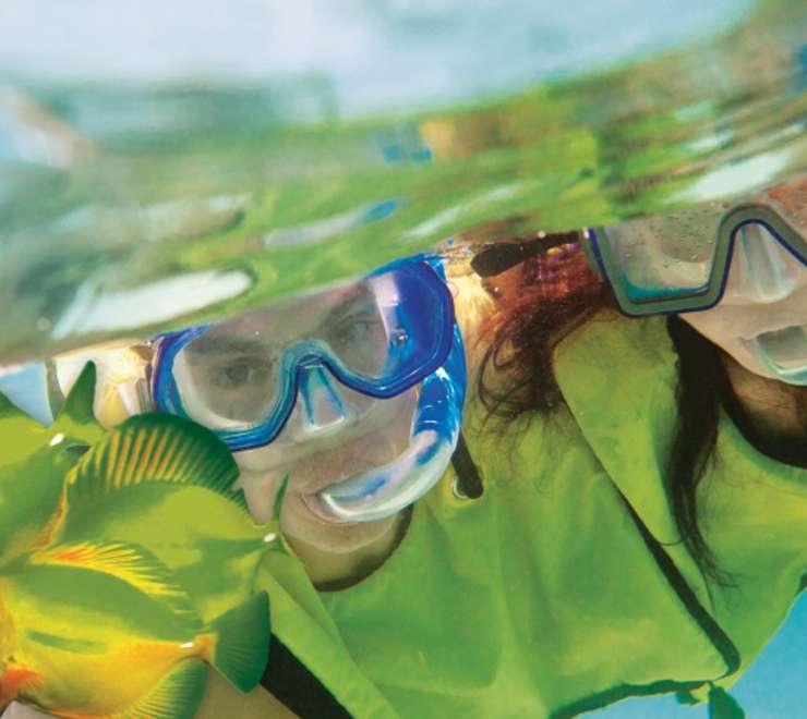 Underwater Snorkel Garden