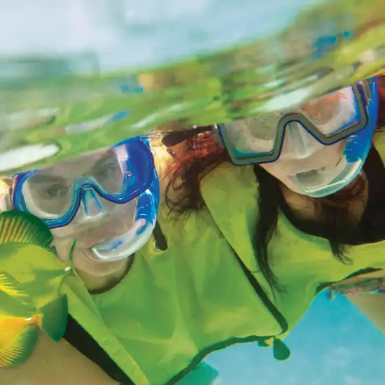 Image related to Underwater Snorkel Garden