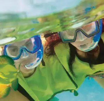 Underwater Snorkel Garden