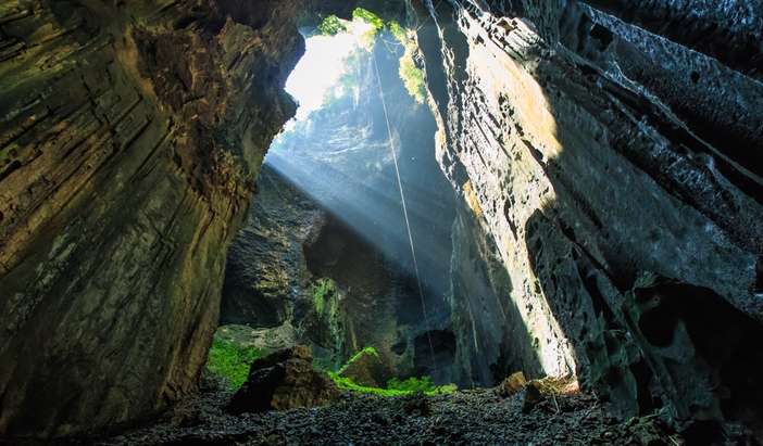 Gomantong Caves Tour