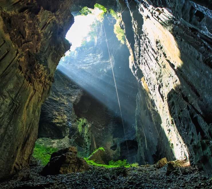Gomantong Caves Tour