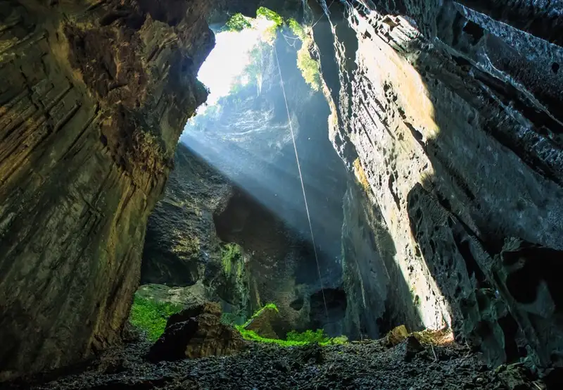 Gomantong Caves Tour