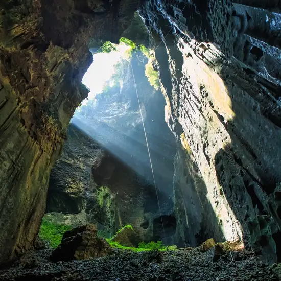 Image related to Gomantong Caves Tour
