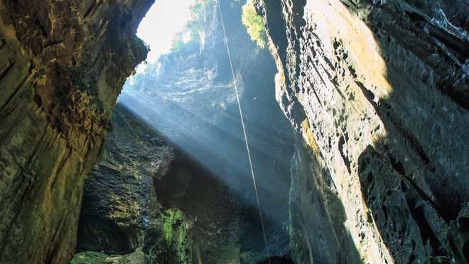 Enjoy a Gomantong Caves Tour