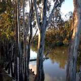 Image related to Zodiac Tours